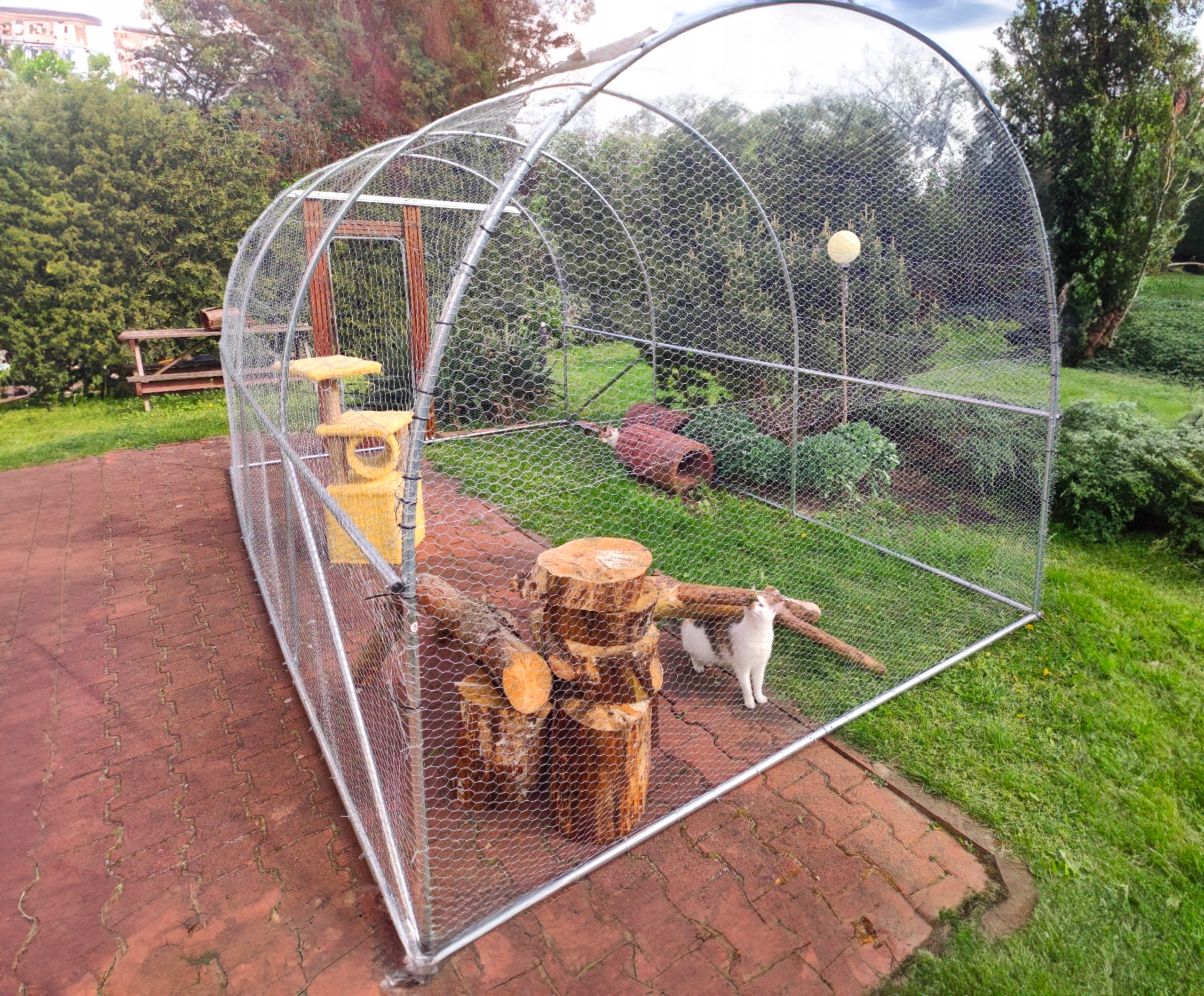 voliera-pre-macky-KONSTRUKCIA-na-foliovnik-6m2-300x200x200cm-freedaysk